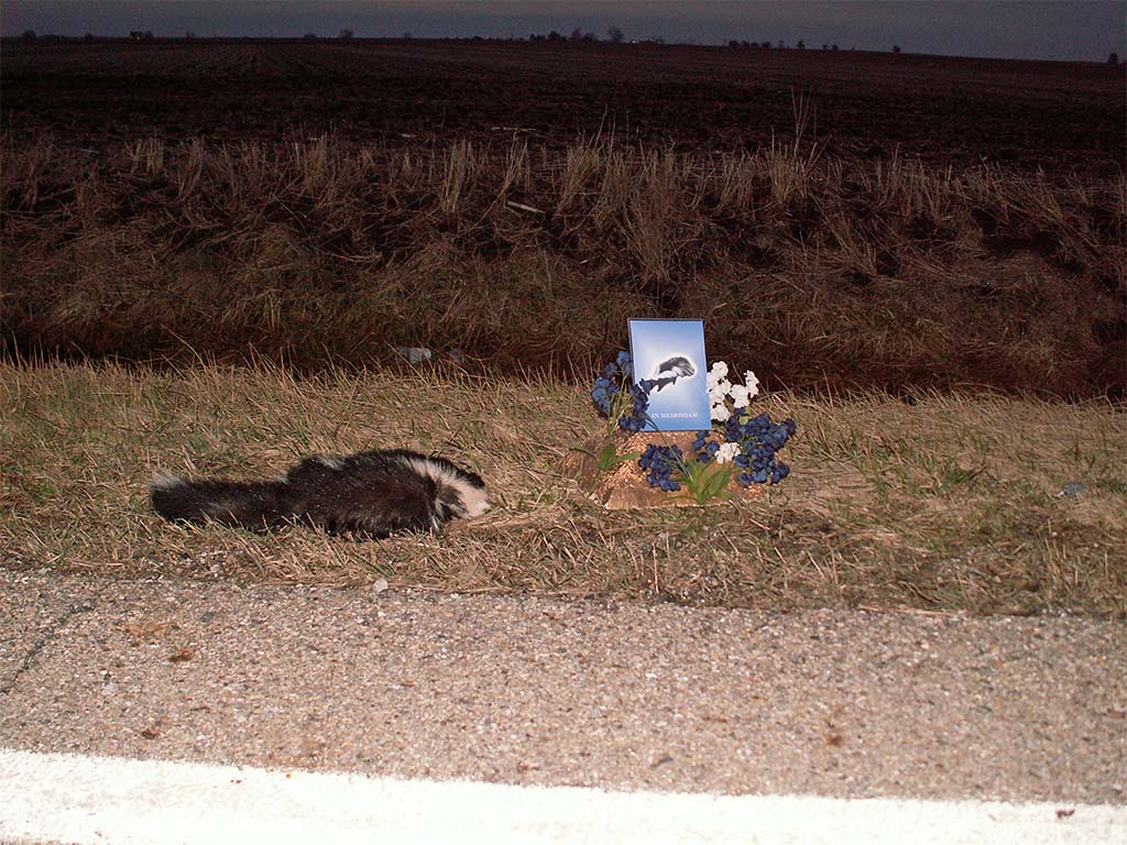 roadkill shrine